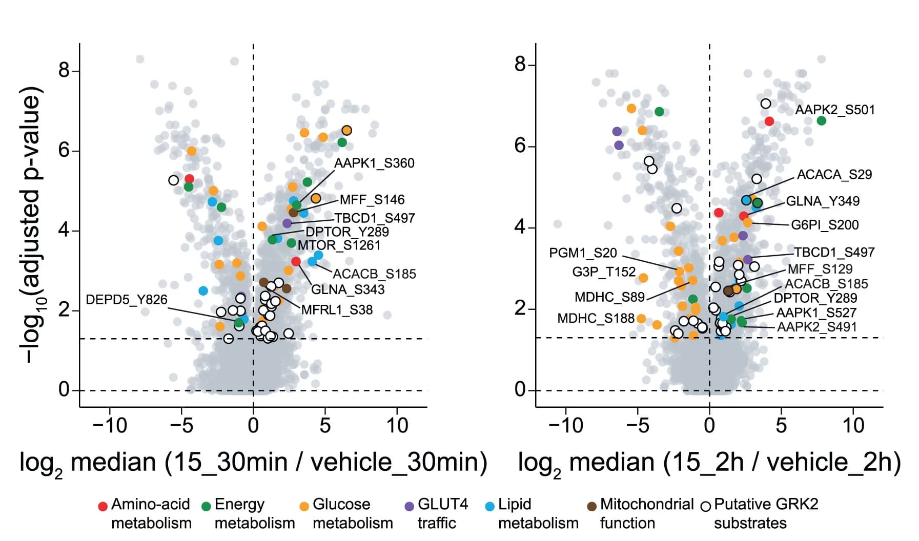 Open access visualization of Volcano Plot, Scatter Plot, Volcano Plots, Phosphosites, Compound 15