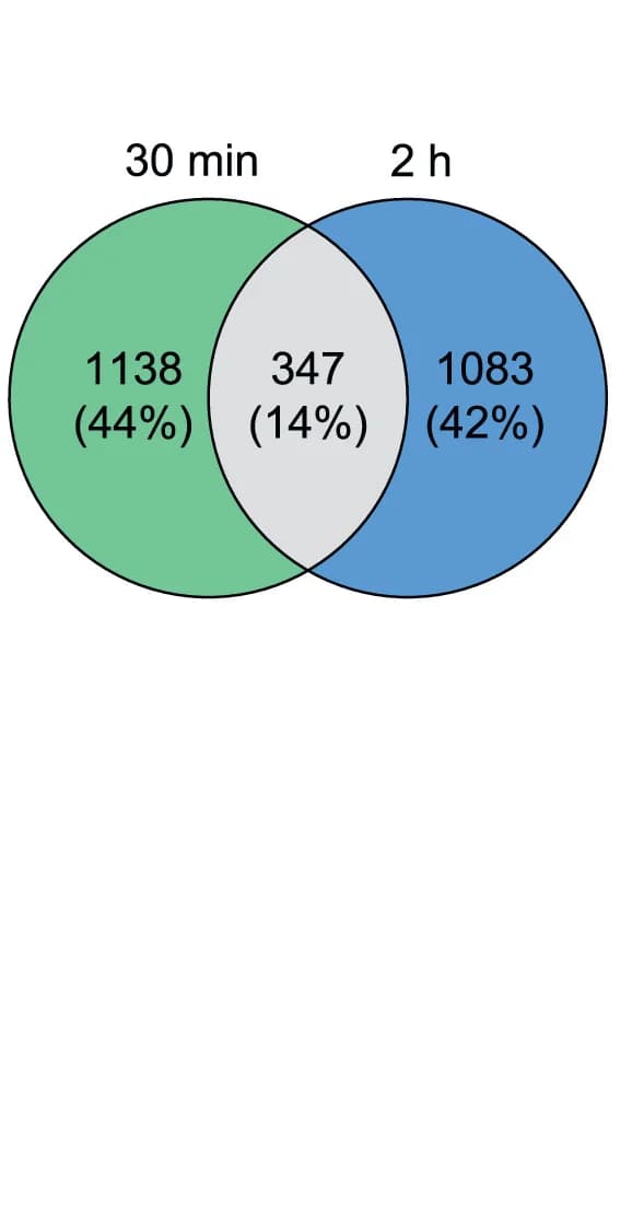 Open access visualization of Venn Diagram, Phosphosites, Compound 15