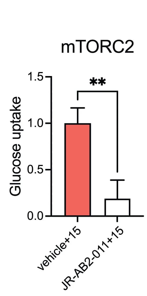 Open access visualization of Bar Plot, Error Bars, Glucose Uptake, Compound 15, L6 Cells