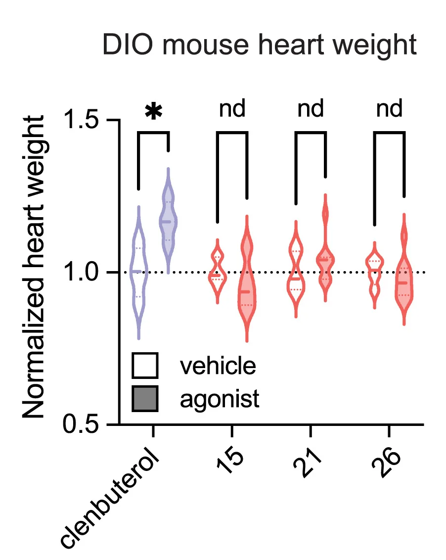 Open access visualization of Violin Plot, Heart Weights, DIO Mice, Gs-biased β2AR Agonists, GRK2-biased β2AR Agonists