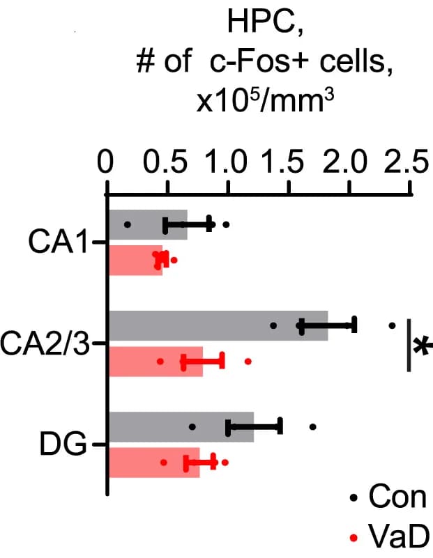 Open access visualization of Bar Plot, Error Bars, Clustered, Quantification, c-Fos