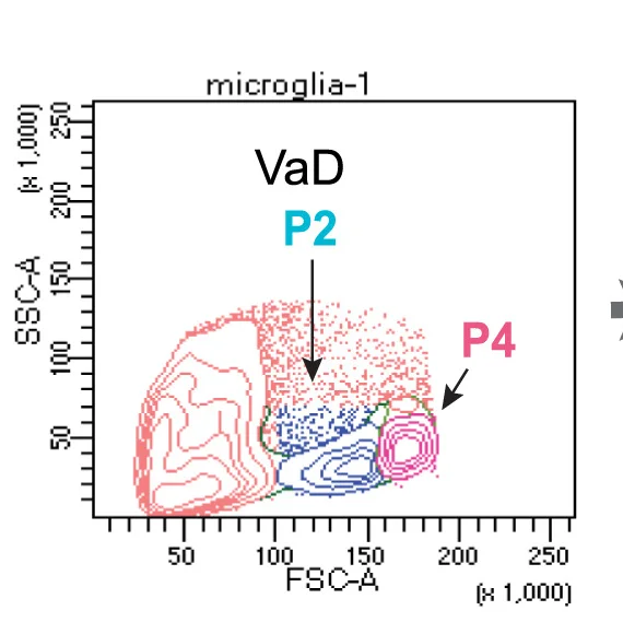 Open access visualization of Scatter Plot, FACS Plots, P2 Fraction, P4 Fraction, VaD Brains