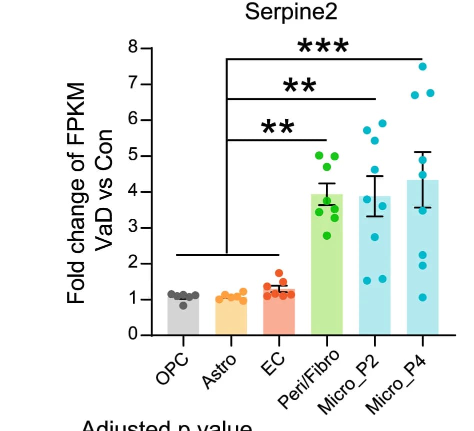 Open access visualization of Bar Plot, Scatter Plot, Error Bars, Serpine2 Expression, FPKM