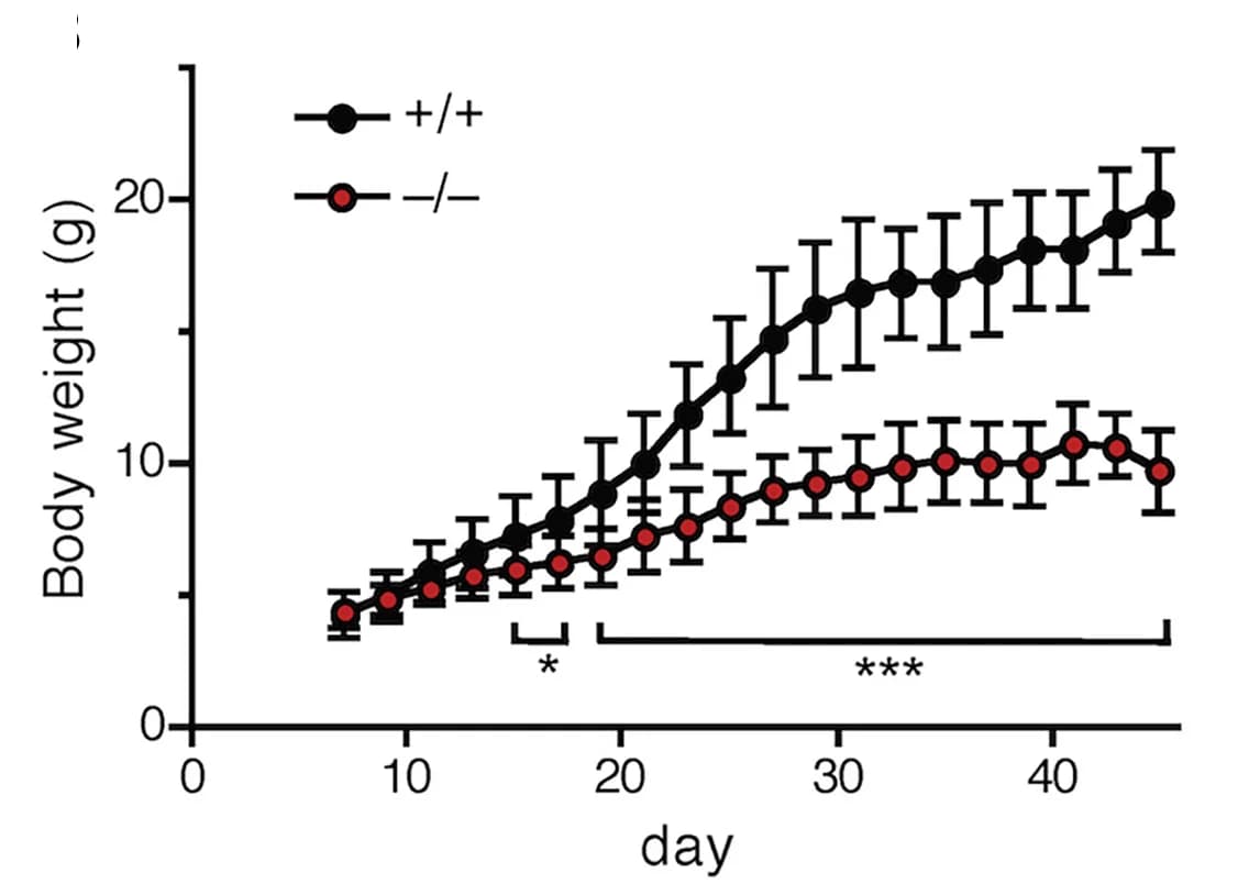Open access visualization of Line Plot, Error Bars, Body weight, Mice