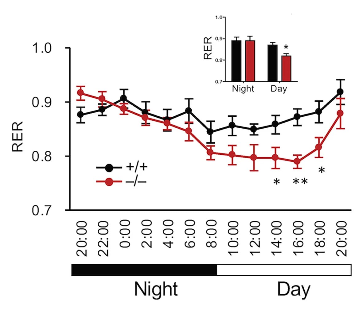 Open access visualization of Line Plot, Error Bars, Bar Plot, Respiratory quotient, Mice