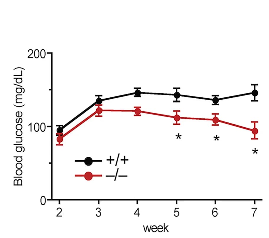 Open access visualization of Line Plot, Error Bars, Blood glucose, Mice