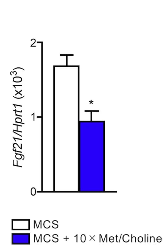 Open access visualization of Bar Plot, Error Bars, Methionine Supplementation, Choline Supplementation, Fgf21 Expression