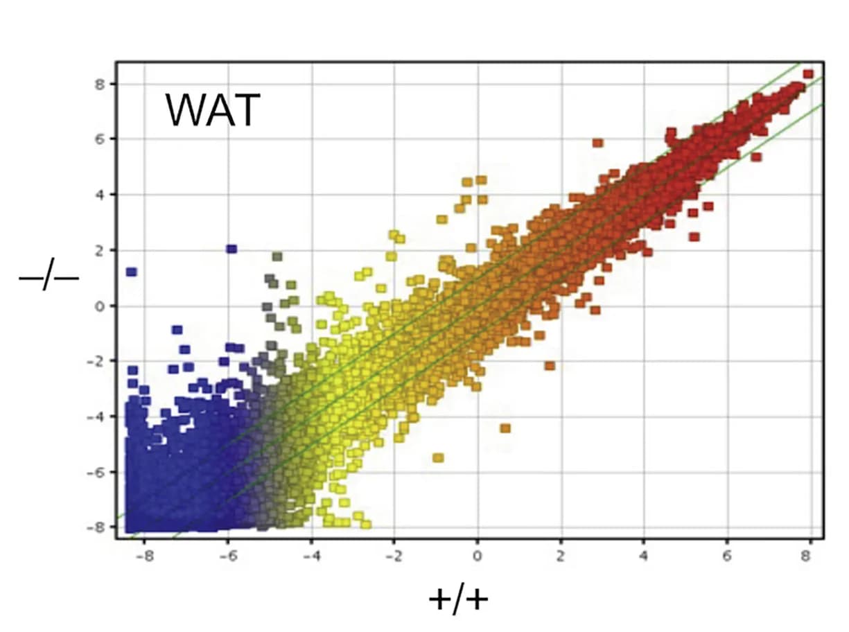 Open access visualization of Scatter Plot, Volcano Plot, Regression Plot, Microarray, Gene Expression