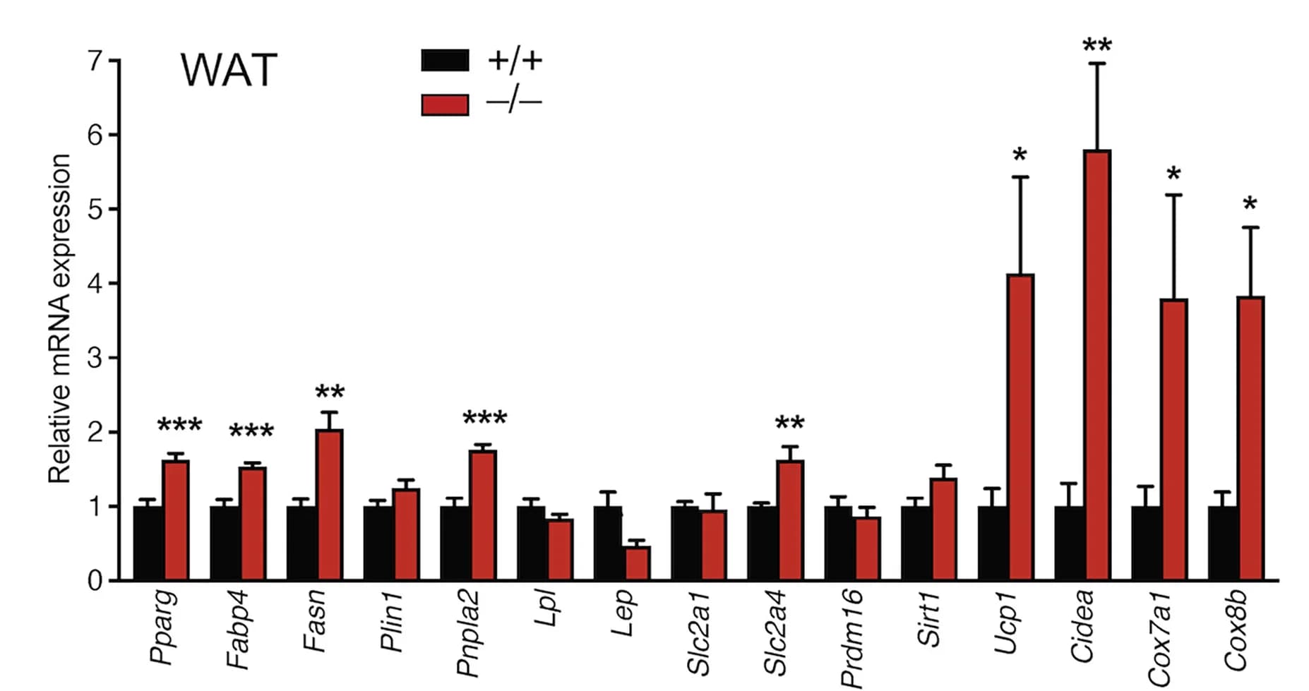 Open access visualization of Bar Plot, Error Bars, Clustered, qPCR Analysis, Adipocyte-Related Genes