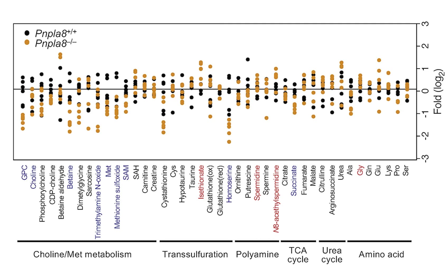Open access visualization of Scatter Plot, Metabolome Analysis, Livers, CE-MS, Metabolites