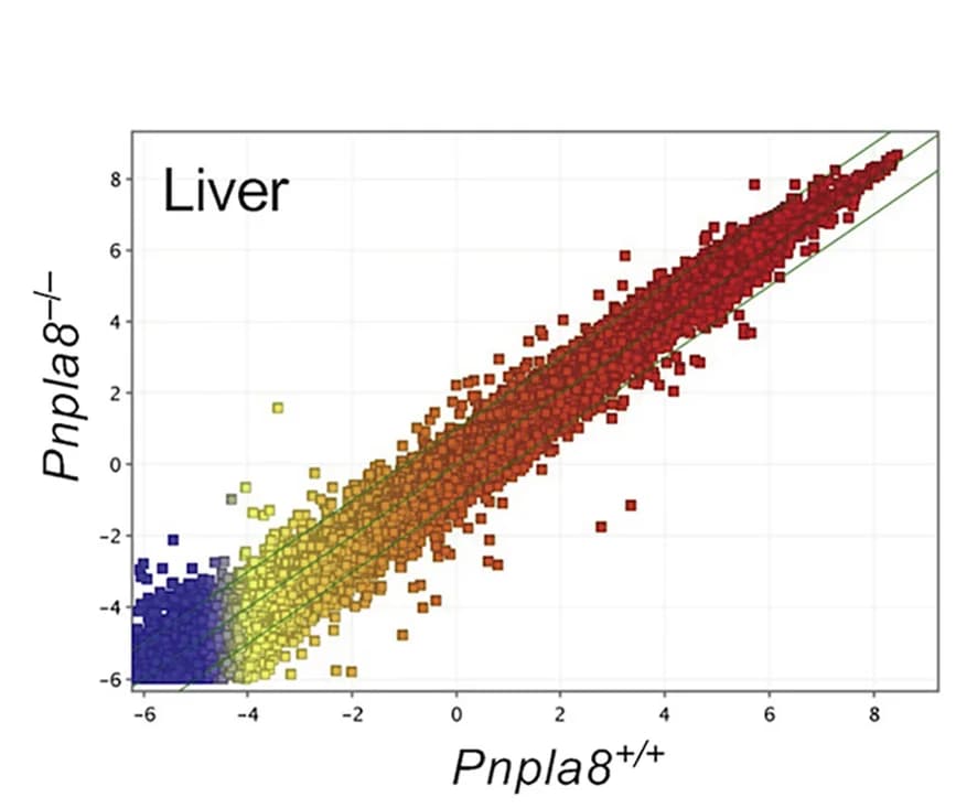 Open access visualization of Scatter Plot, Regression Plot, Scatterplot, Microarray Analysis, Livers