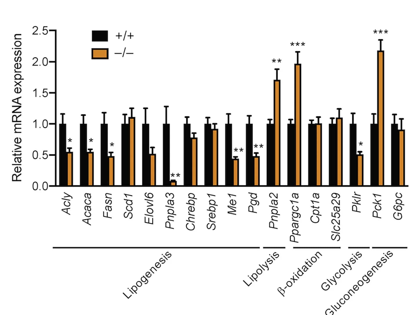 Open access visualization of Bar Plot, Error Bars, Clustered, qPCR Analysis, Gene