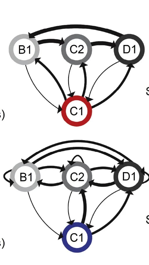 Open access visualization of Network, Pathway, Stimulus Presentation, Markov Transitions, Transition Diagram