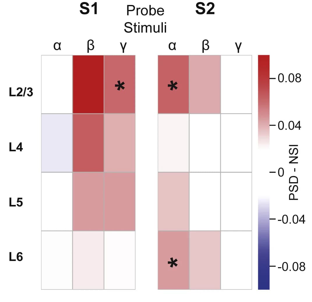 Open access visualization of Heatmap, Mean NSI Values, Power Spectral Densities, Alpha Band, Beta Band
