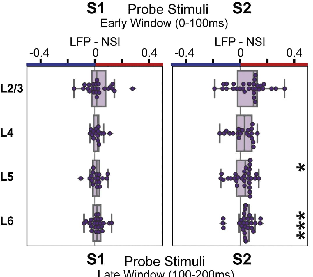 Open access visualization of Box Plot, Scatter Plot, LFPs, Probe Stimuli, Cortical Layers