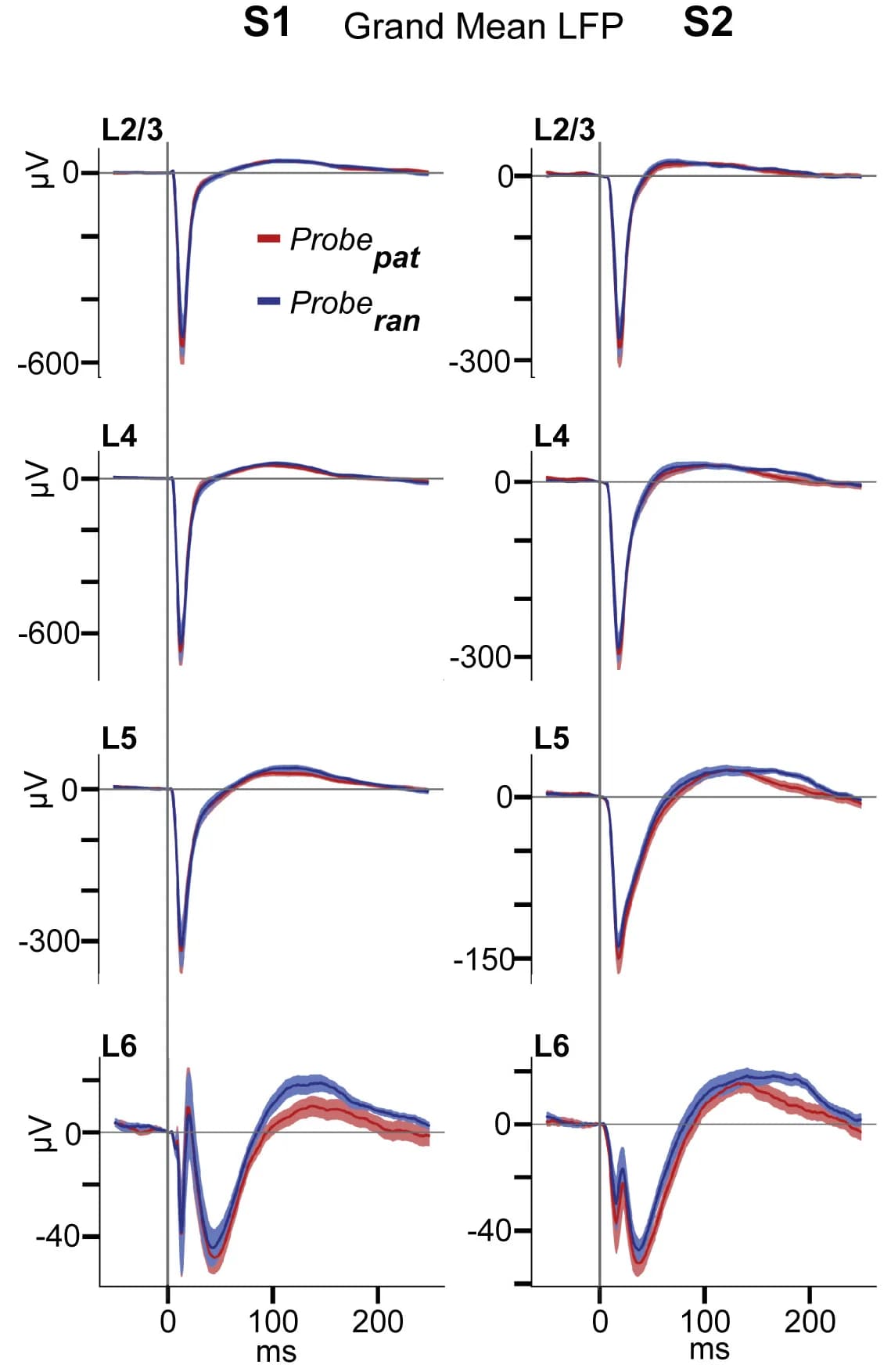 Open access visualization of Line Plot, Error Bars, LFPs, Probepat Stimuli, Proberan Stimuli