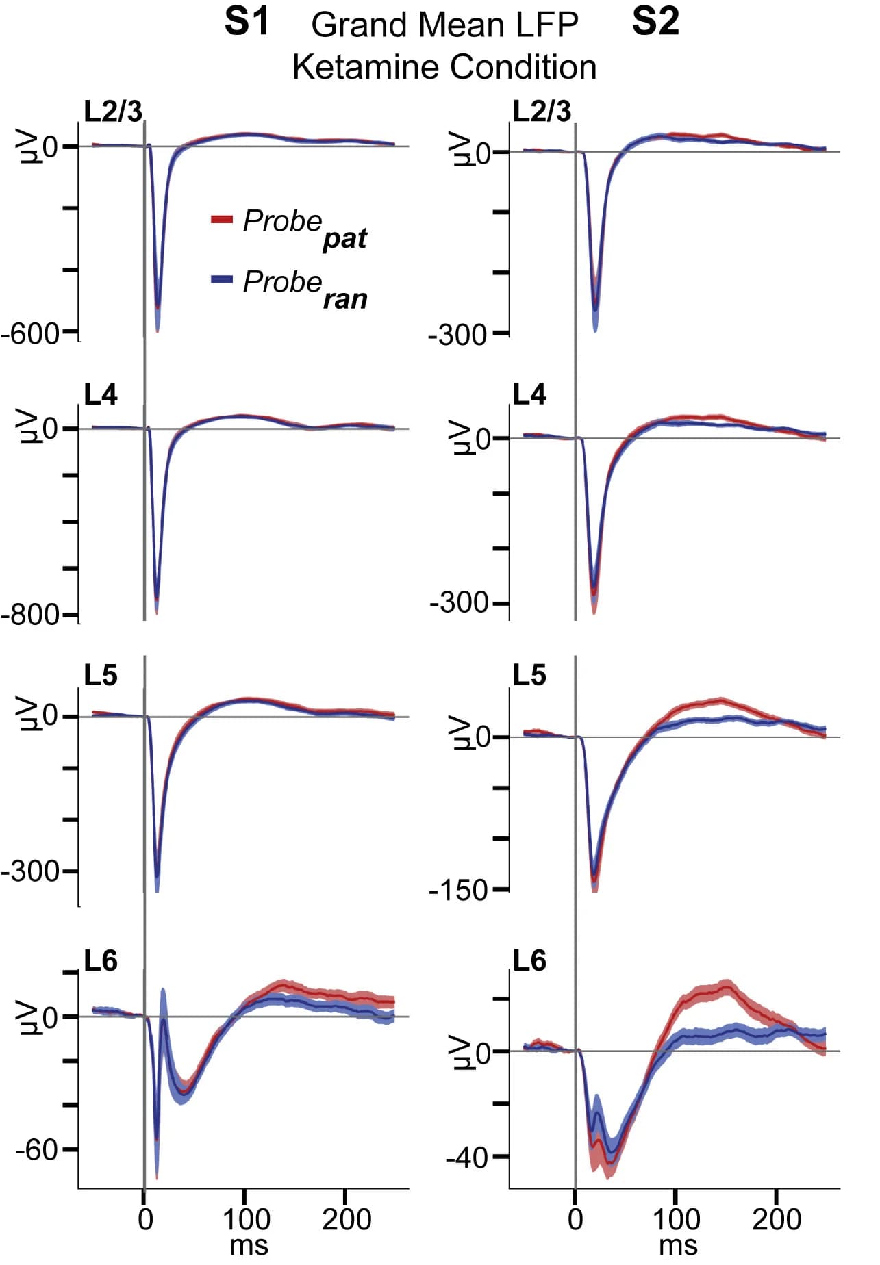 Open access visualization of Line Plot, Error Bars, Evoked LFPs, Ketamine, SEM