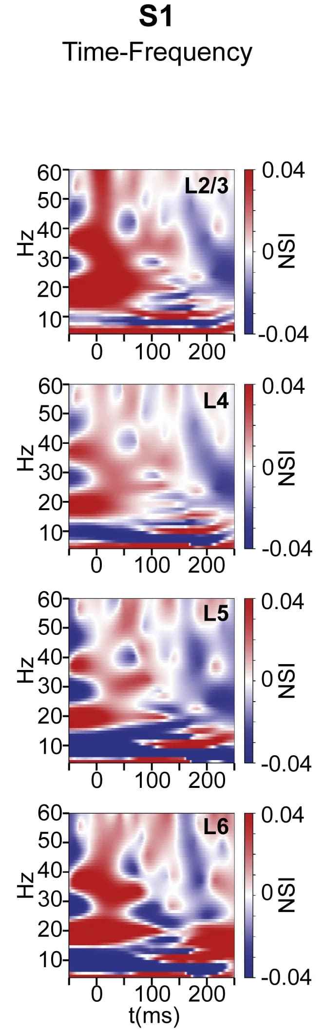 Open access visualization of Heatmap, Spectrogram, Time-Frequency, Cortical Layers, S1