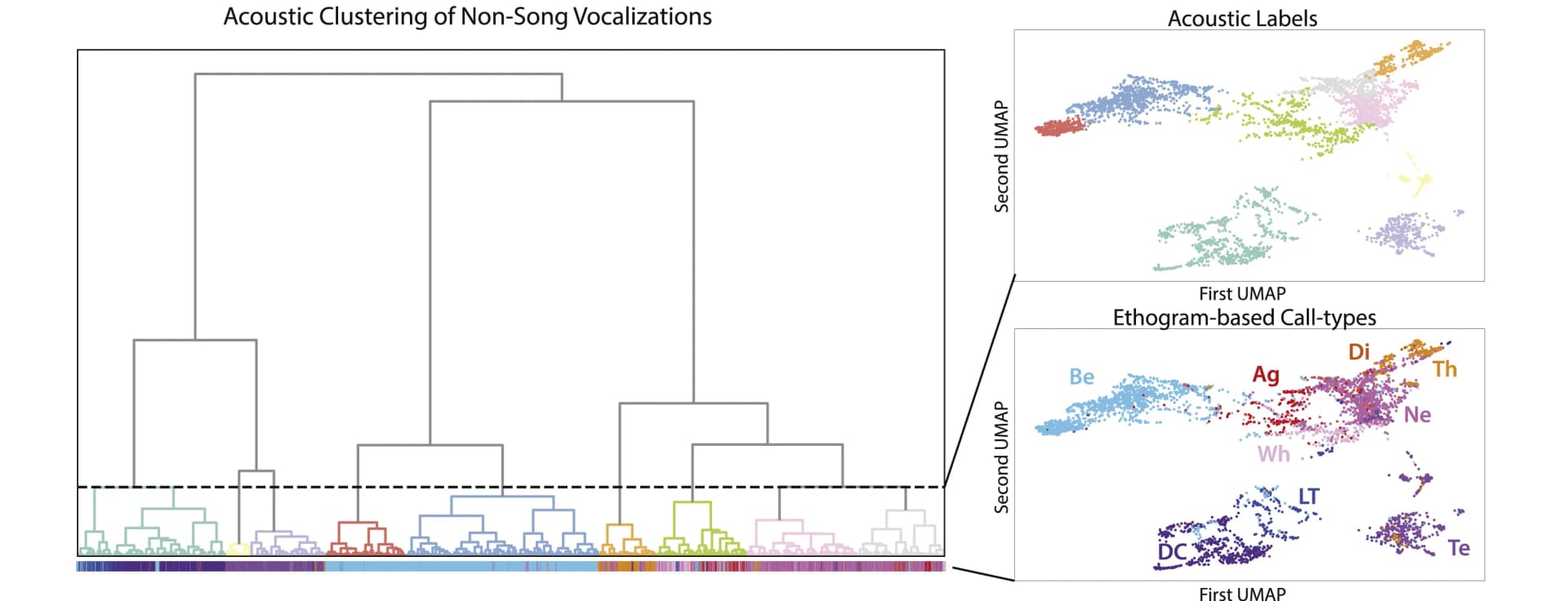 Open access visualization of UMAP, Scatter Plot, Dendrogram, Vocalization, Hierarchical Clustering