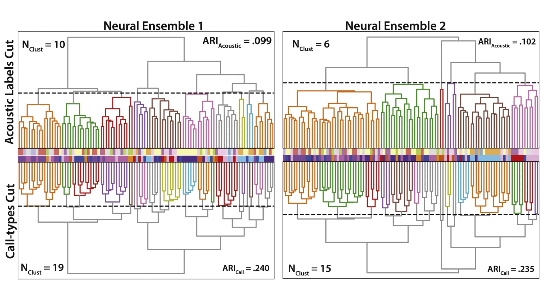 Open access visualization of Dendrogram, Clustered Heatmap, Hierarchical Clustering, Neurons, Adjusted Rand Index
