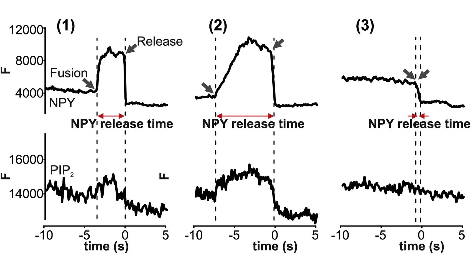 Open access visualization of Line Plot, NPY, PIP2 Signal, FR Events, Fusion Pore