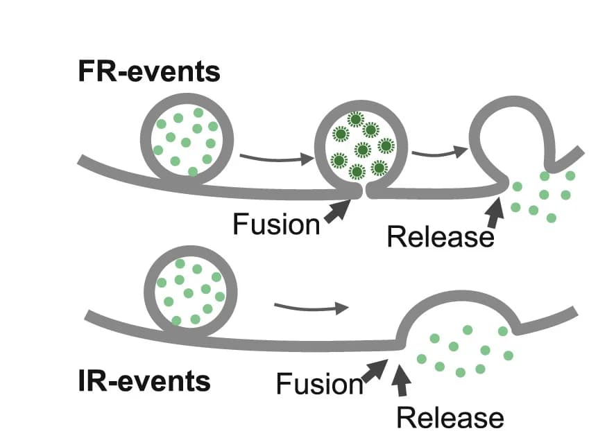 Open access visualization of Workflow, Illustration, Cartoons, Interpretation, Events