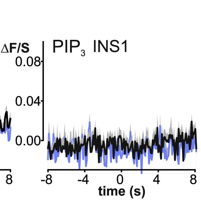 Open access visualization of Line Plot, Error Bars, PI(3,4,5)P3sensor, 4EGFP-GRP1, INS1 Cells