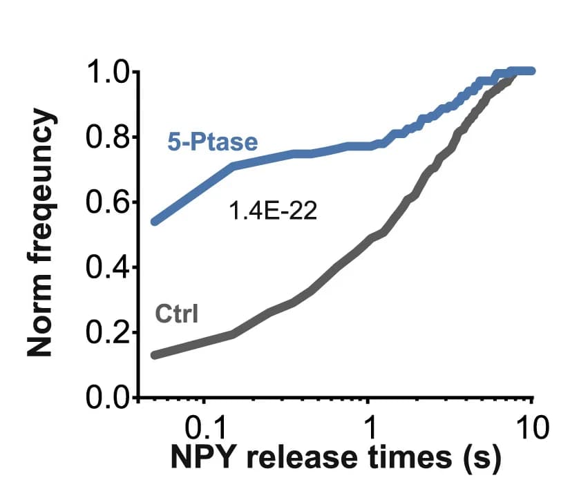 Open access visualization of Line Plot, Line Step, NPY Release Times, Cumulative Histograms