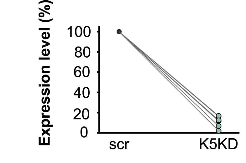 Open access visualization of Scatter Plot, PIP5k1c, Gene Expression, shRNA, Cells