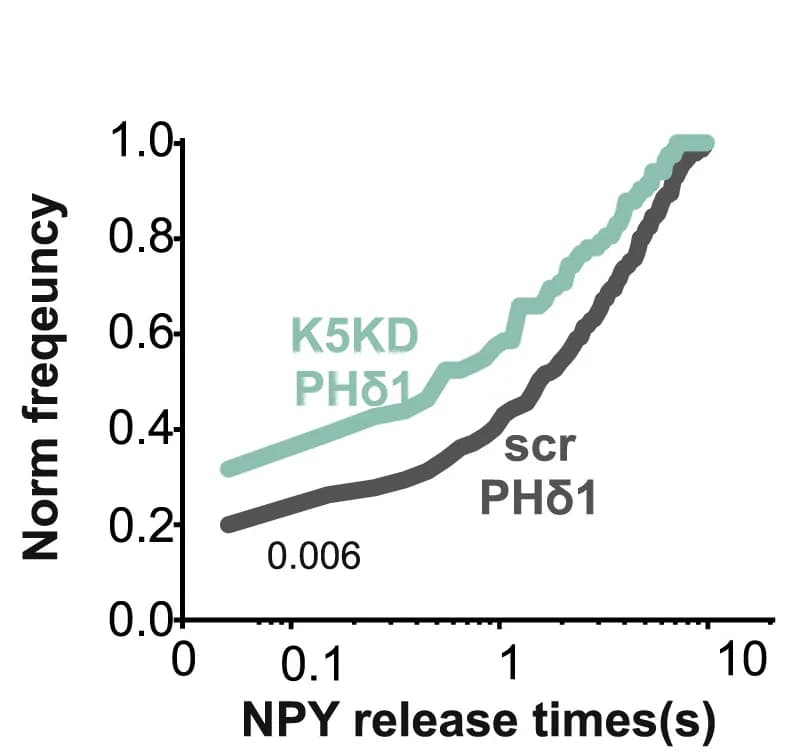 Open access visualization of Line Plot, NPY Release, Frequency Histograms, PH-PLC1