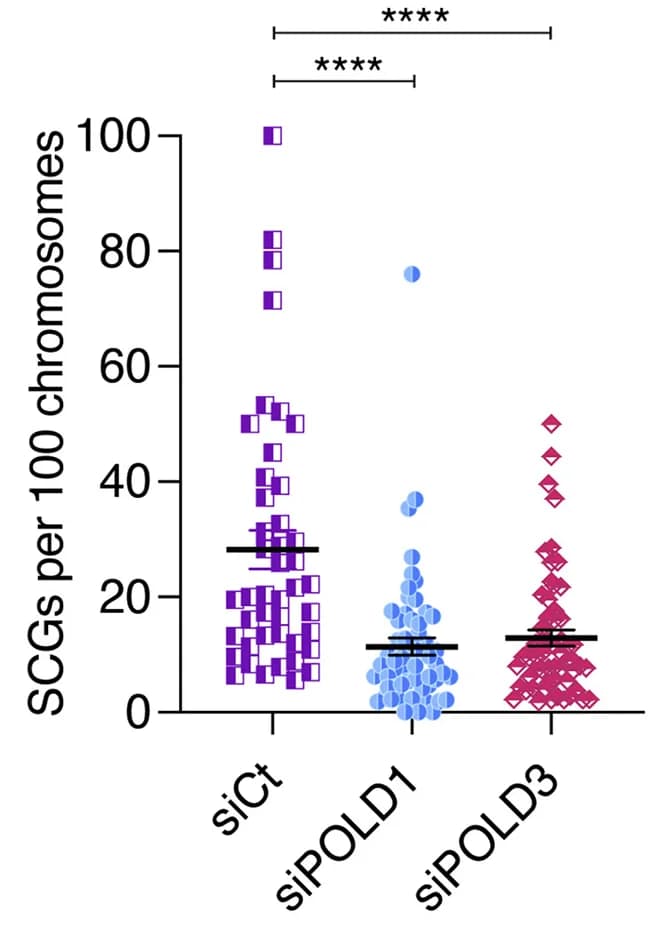 Open access visualization of Scatter Plot, Error Bars, SCGs, Chromosomes, HEK293 Cells
