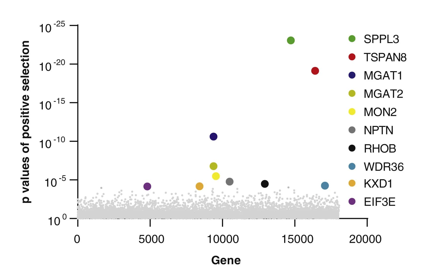 Open access visualization of Scatter Plot, Volcano Plot, Gene Hits, MEC Cells, Candidate Genes