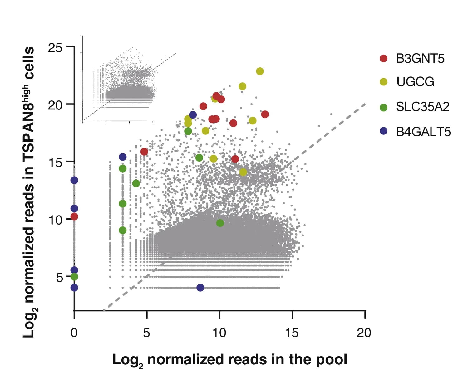 Open access visualization of Scatter Plot, Scatterplot, sgRNAs, Candidate Genes