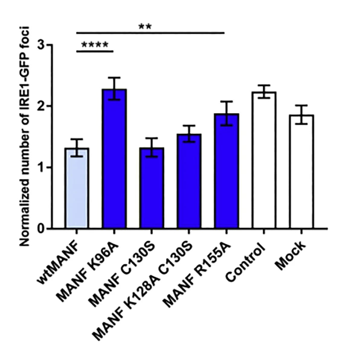 Open access visualization of Bar Plot, Error Bars, MANF K96A, MANF R155A, ER Stress