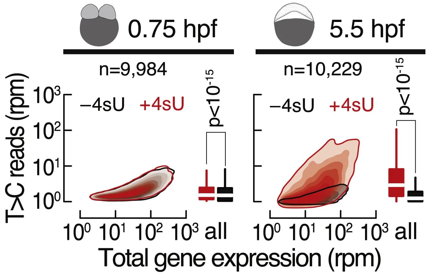Open access visualization of Scatter Plot, Box Plot, De Novo Transcription, Gene Expression, Zebrafish Embryos