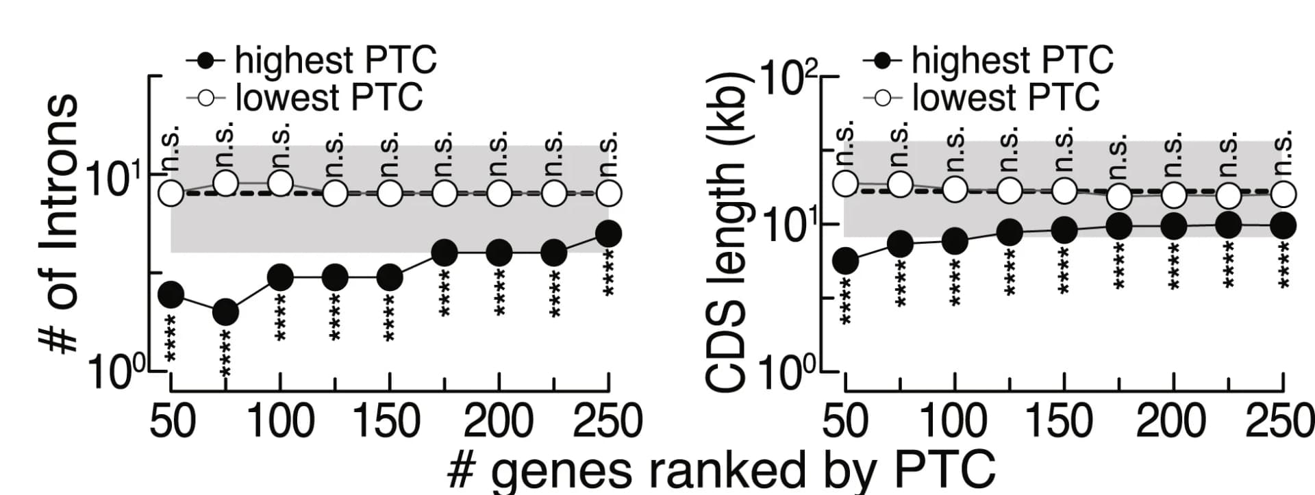Open access visualization of Line Plot, Introns, Coding Sequence, Genes, PTC