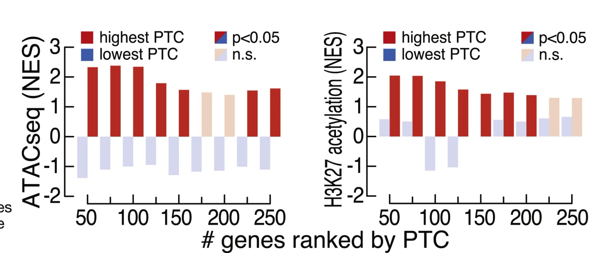Open access visualization of Bar Plot, Clustered, Normalized Enrichment Scores, ATAC-seq, H3K27 Acetylation