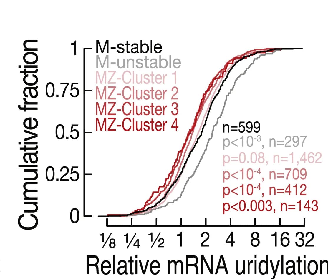 Open access visualization of Line Plot, Line Step, Cumulative Distribution, mRNA 3' End Uridylation, ZGA
