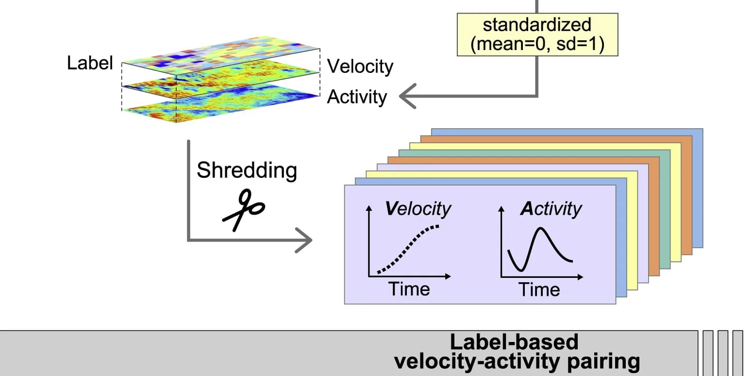 Open access visualization of Workflow, Heatmap, Line Plot, Velocity, Activity Time Series