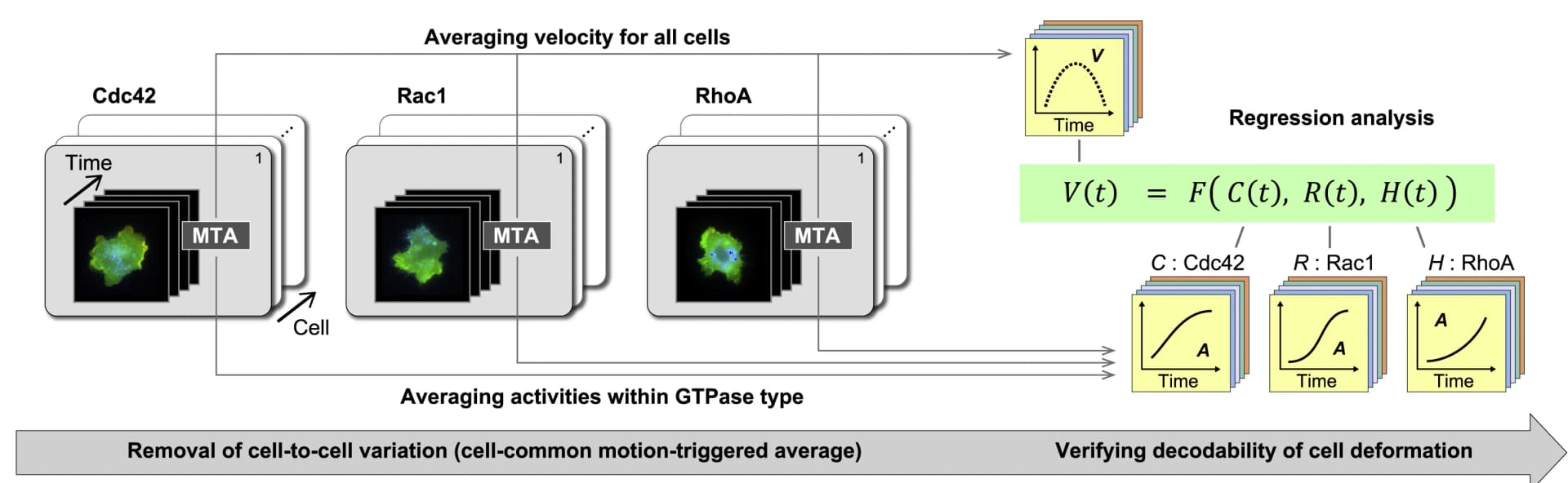 Open access visualization of Workflow, Microscopy, Line Plot, Schematic, Edge-Velocity Time Series