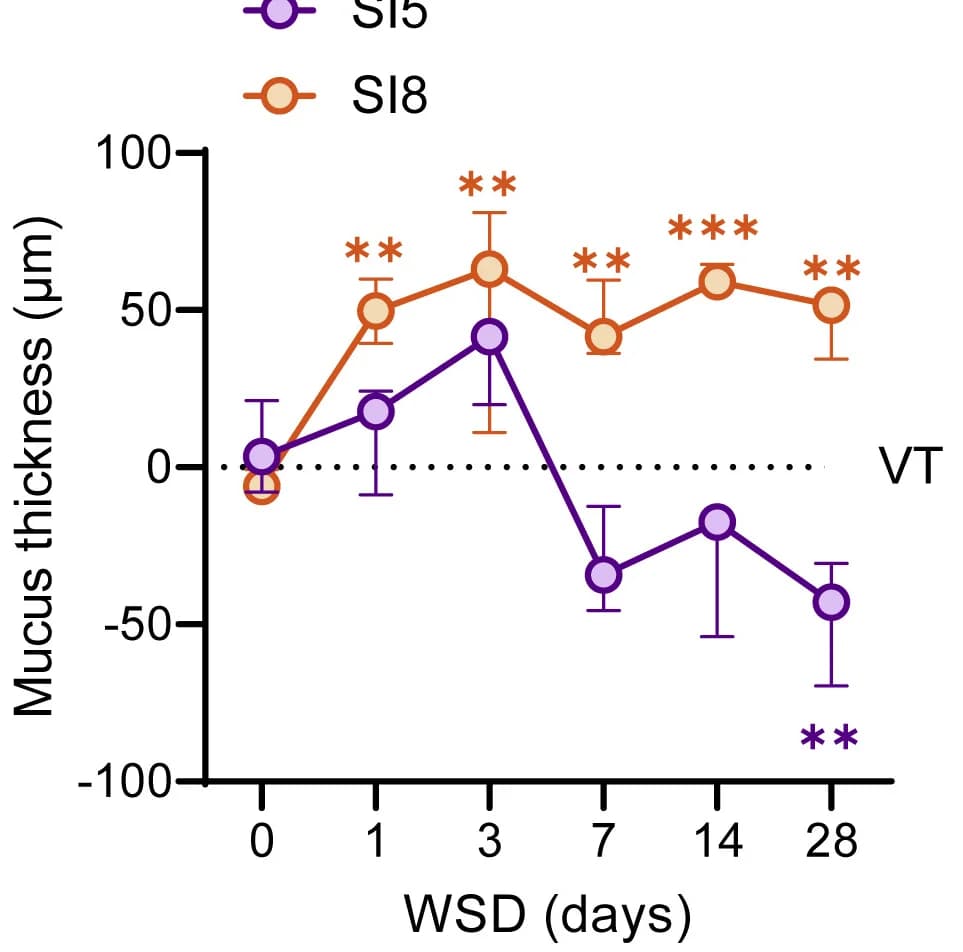 Open access visualization of Line Plot, Error Bars, Mucus Thickness, Villus Tips, Quantification