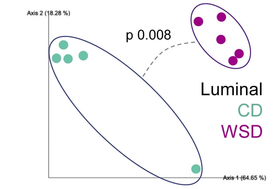 Open access visualization of Scatter Plot, PCA, Principal-Component Analysis, Beta-Diversity, Bacterial Communities