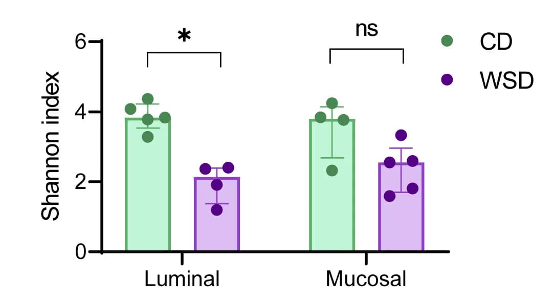 Open access visualization of Bar Plot, Error Bars, Clustered, Scatter Plot, Alpha-Diversity