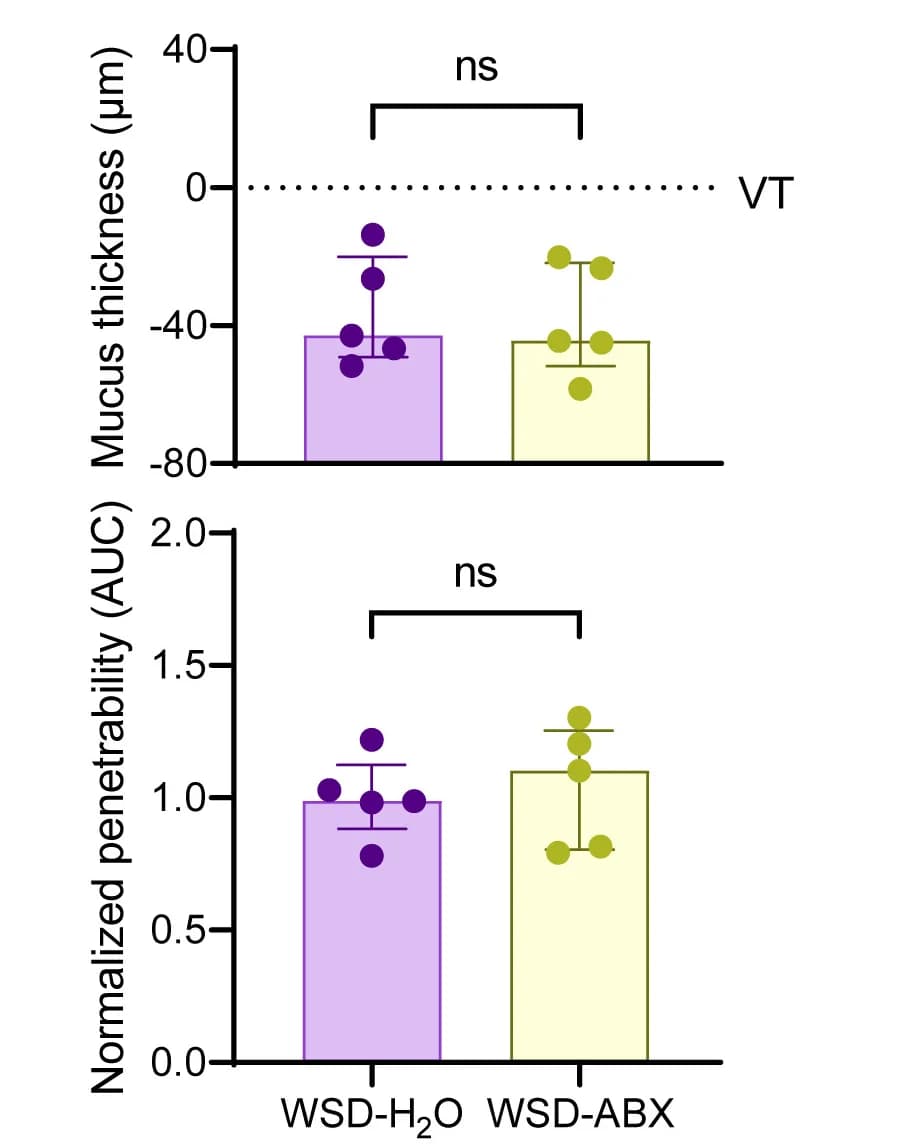 Open access visualization of Bar Plot, Error Bars, Mucus Thickness, Villus Tips, Barrier Function