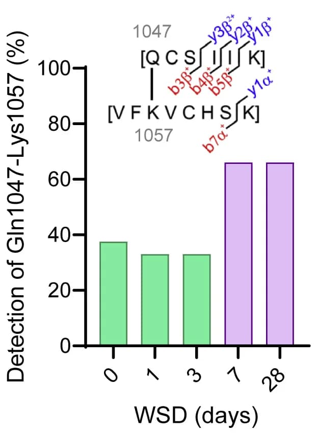 Open access visualization of Bar Plot, SI5 mucus samples, WSD-fed mice, Cross-linked peptide