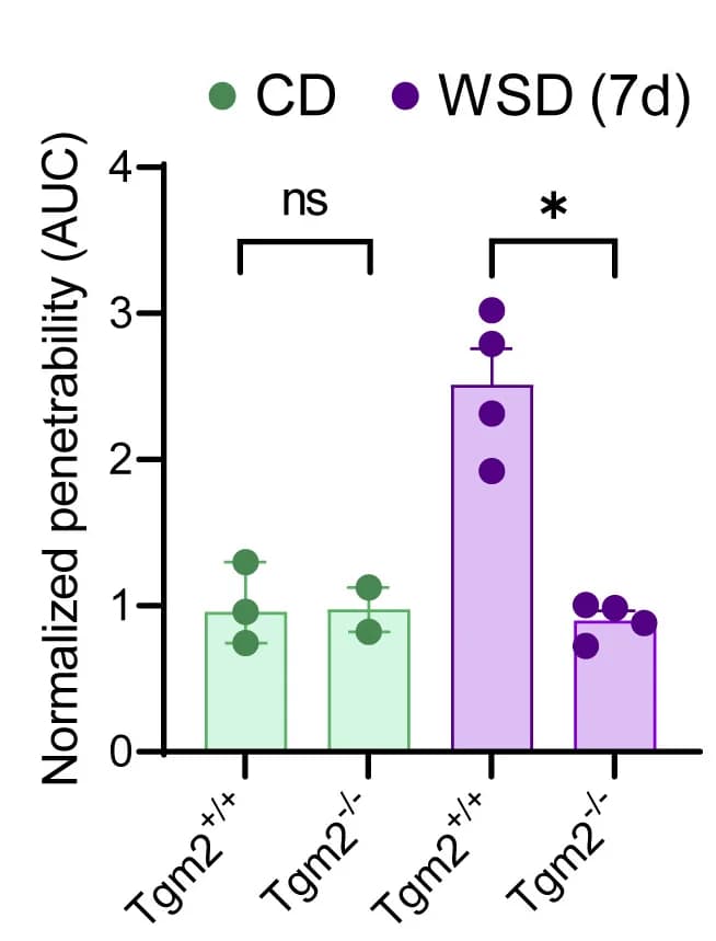 Open access visualization of Bar Plot, Error Bars, Clustered, Scatter Plot, SI5 mucus