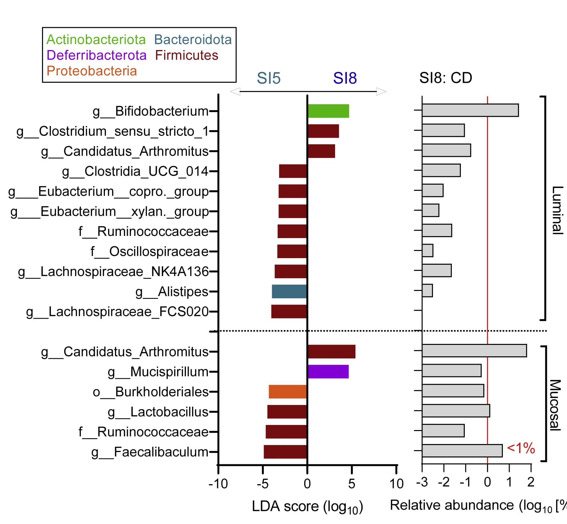 Open access visualization of Bar Plot, Clustered, Linear Discriminant Analysis, Bacterial Taxa, SI5