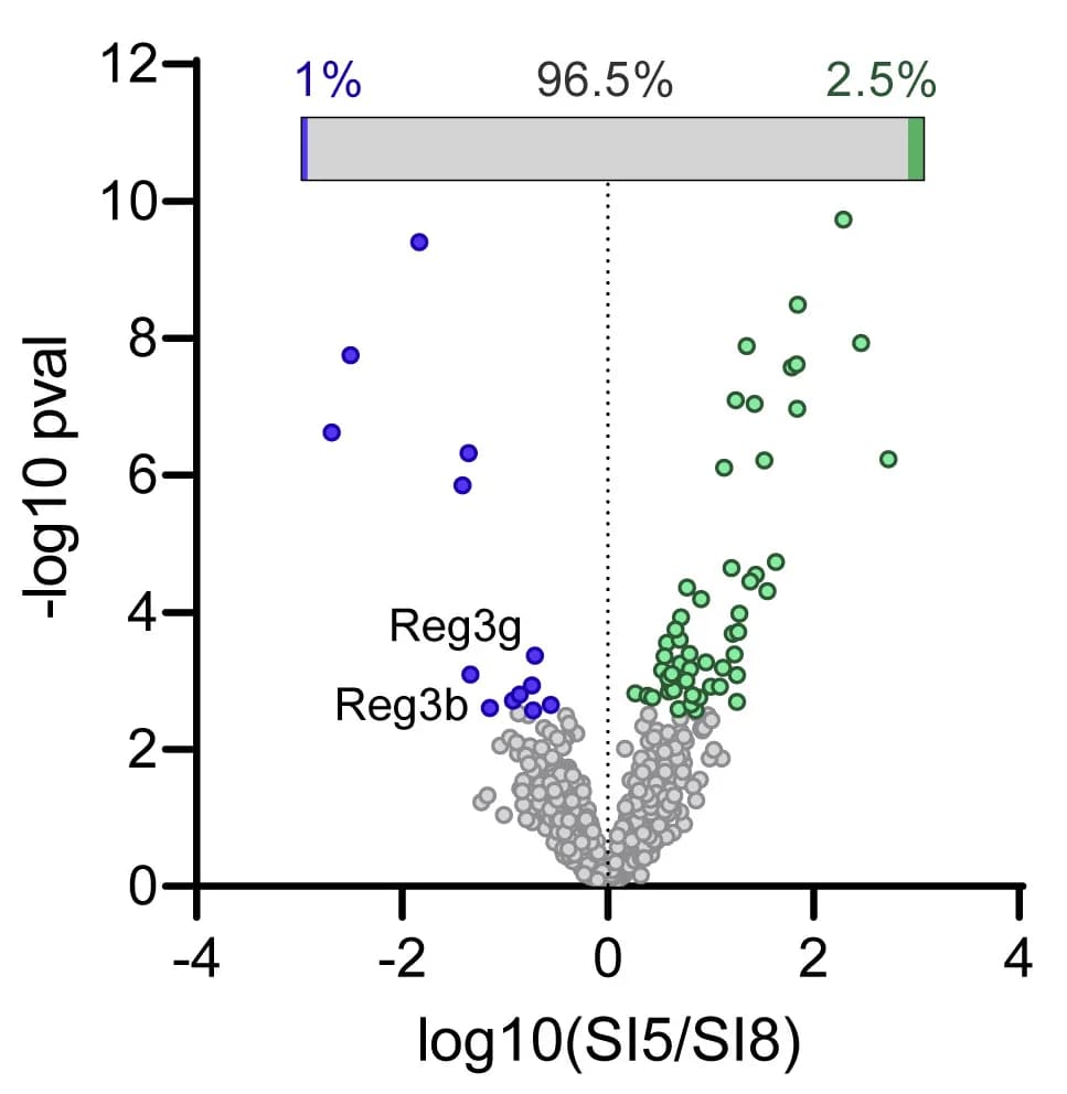 Open access visualization of Volcano Plot, Bar Plot, Mass Spectrometry, Label-Free Quantification, SI5