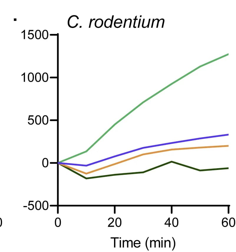 Open access visualization of Line Plot, C.rodentium, Permeabilization, Polymyxin B, Soluble Mucus Protein