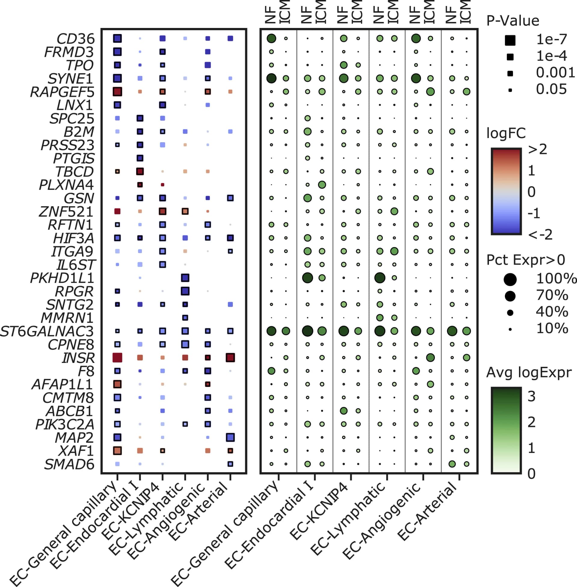 Open access visualization of Bubble Plot, Volcano Plot, Differentially Expressed Genes, Endothelial Subclusters, Log Fold Change